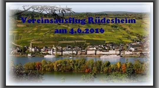 Vereinsausflug Rüdesheim 2016